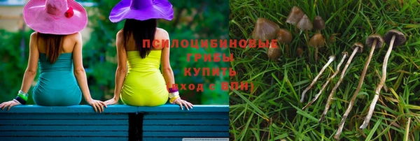 mdpv Баксан