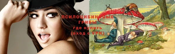 хмурый Балабаново