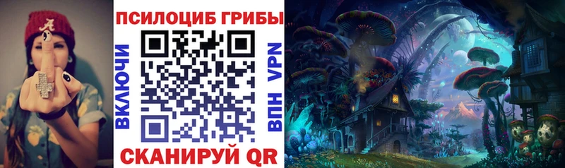Галлюциногенные грибы мицелий  Ставрополь 